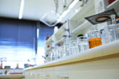 Research institutes and laboratories